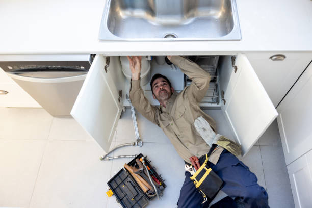 Best Leak Detection Services  in Landmk, AR